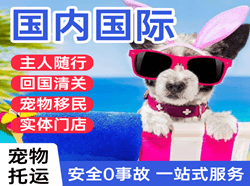 朝阳空运代理国际宠物托运 【国